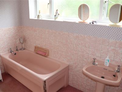 Picture 13